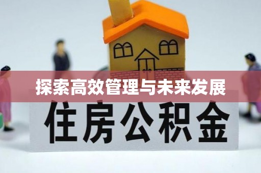 石鼓探索高效管理与未来发展