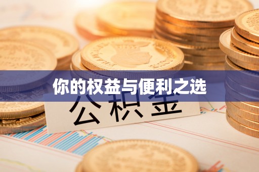 石鼓你的权益与便利之选