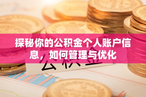 石鼓探秘你的公积金个人账户信息，如何管理与优化