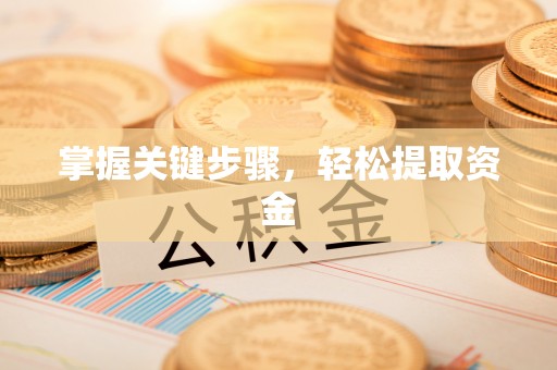 石鼓掌握关键步骤，轻松提取资金