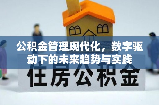 石鼓公积金管理现代化，数字驱动下的未来趋势与实践