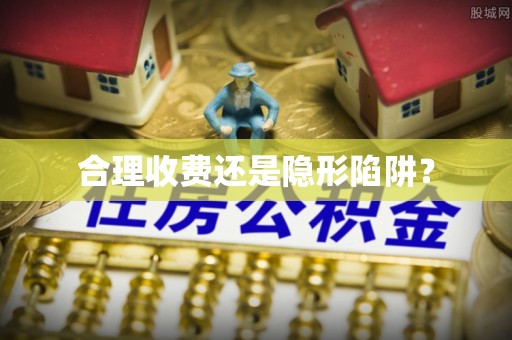 石鼓合理收费还是隐形陷阱？