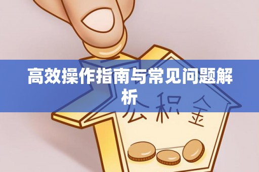 石鼓高效操作指南与常见问题解析