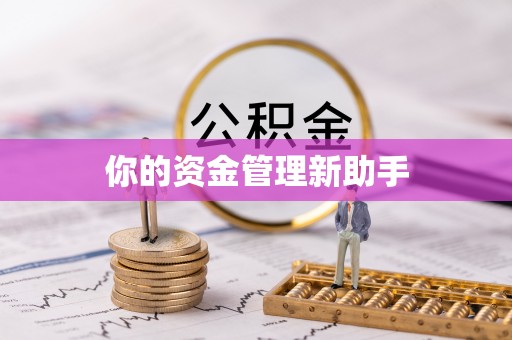 石鼓你的资金管理新助手