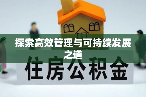 石鼓探索高效管理与可持续发展之道