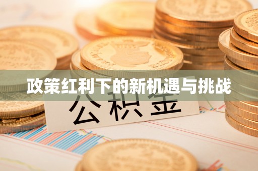 石鼓政策红利下的新机遇与挑战