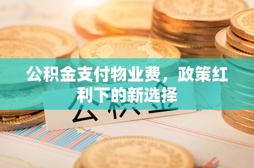 石鼓公积金支付物业费，政策红利下的新选择