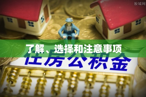 石鼓了解、选择和注意事项