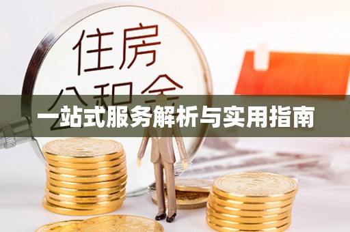 石鼓一站式服务解析与实用指南