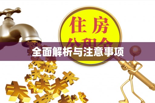 石鼓全面解析与注意事项
