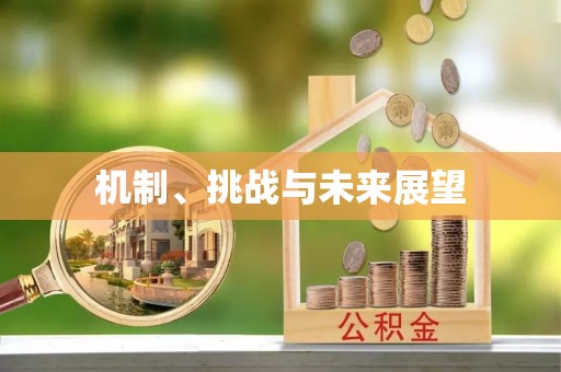 石鼓机制、挑战与未来展望